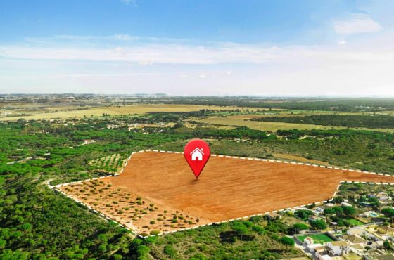 Why Plots near Gajraula are a Smart Investment for the Future